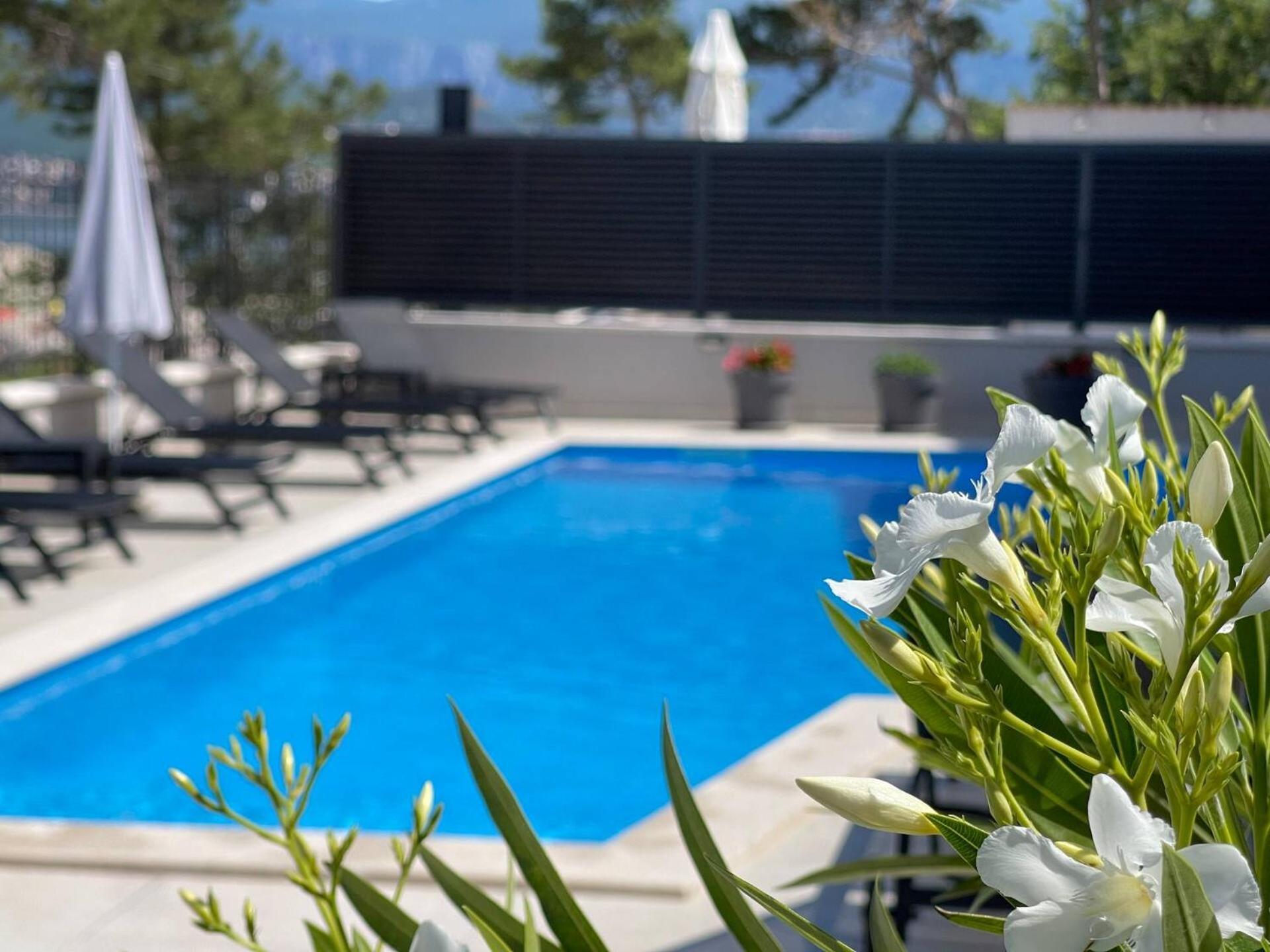 Villas Punta Silo - Luxury Apartments With Pool Esterno foto